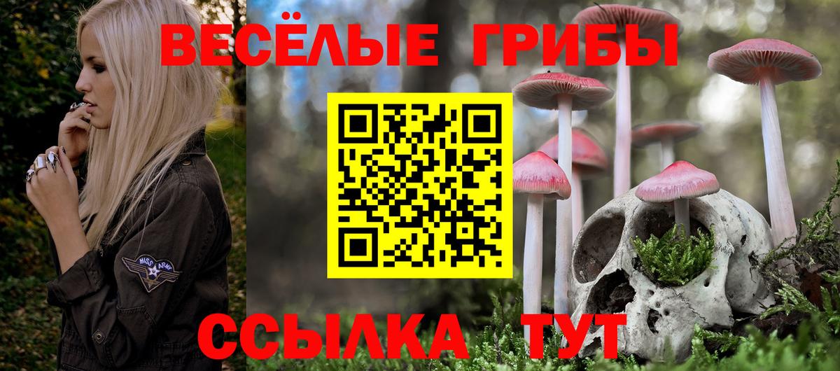 Псилоцибиновые грибы MAGIC MUSHROOMS Ростов-на-Дону