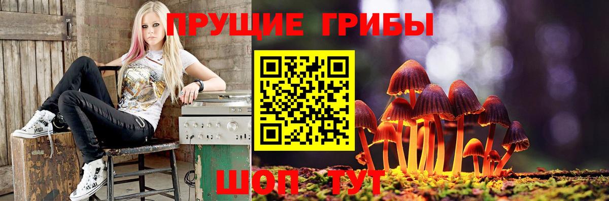 Ростов-на-Дону  даркнет сайт  Вход с VPN  Галлюциногенные грибы GOLDEN TEACHER  Псилоцибиновые грибы Psilocybine cubensis 